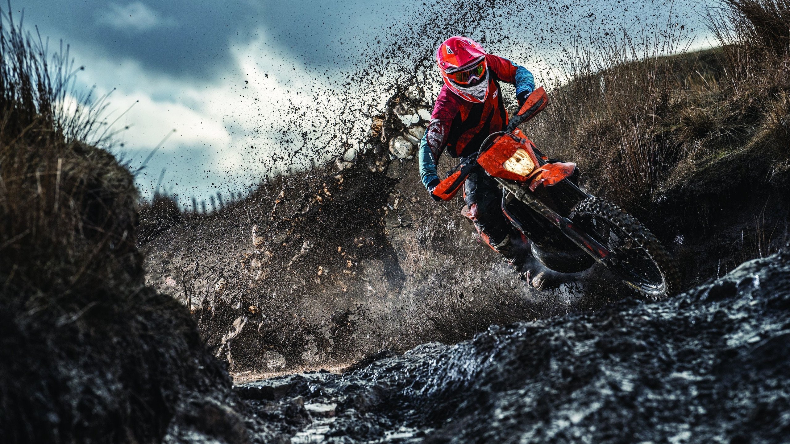 综合体育系“无器械家庭训练设计赛” 作品将发放给全校同学使用